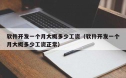 软件开发收入怎么样（软件开发工资一般多少钱一个月）