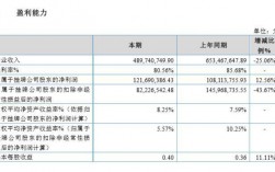 中邮基金收入（中邮基金834344）