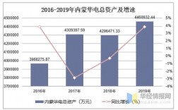 华电收入（华电 收入）