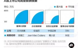 有限公司ceo收入（公司ceo有股份吗）