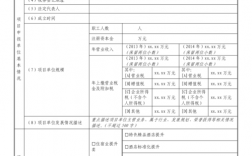 项目申报收入（项目申报资金）