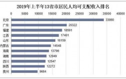 19年国内收入（2019 收入）