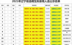 沈阳选调生收入（沈阳选调生收入多少）