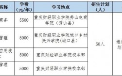 重庆高职院校老师收入（重庆职业学院教师工资10万）