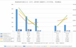 鲁能集团经济收入（鲁能集团营收）