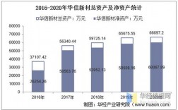 华信集团收入（华信集团资产）