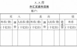 收入外汇（收入外汇确认收入会计分录）