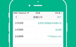 拉勾网app收入（拉勾网企业招聘怎么收费）