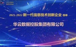 华云数据收入（华云数据集团2020年营收多少）