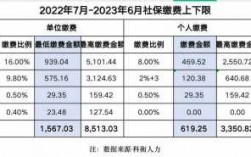 2016年社保收入（2016社保缴费比例）