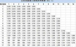 公务员毛收入（国家公务员的收入）