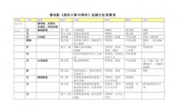 电影统筹收入（电影统筹表格）