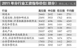 深圳it人员收入（深圳it人员收入水平）