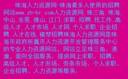 珠海it收入（珠海it招聘网站）