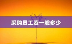 采购收入高（采购员的收入）