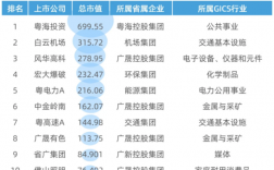 广东能洋公司收入（广东能源集团营收）