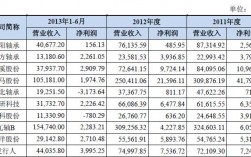 上市公司营业收入查询（上市公司营业收入怎么查）