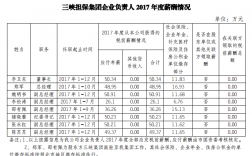 三峡担保收入（三峡担保收入怎么样）