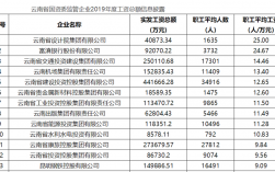 国企员工的收入排名（国企收入最高）