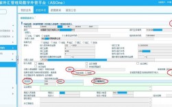 国家外汇收入（国家外汇收入申报操作）