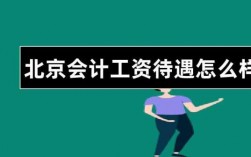 北京财会的收入（北京财会工资多少）