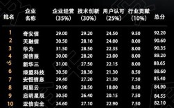 中企网络收入（中国网络企业）