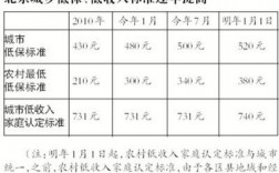 河东低收入家庭（天津低收入家庭）