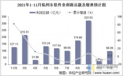 杭州软件行业收入（杭州软件业务收入）