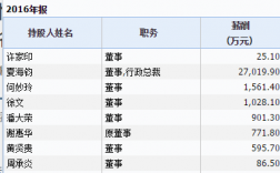 恒大总经理收入（恒大老总年薪）