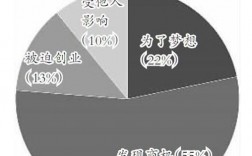 创业者收入调查（创业收入来源怎么填）