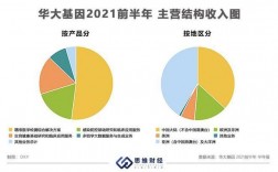 华大基因清华收入（华大基因 前景）