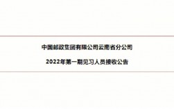 昆明邮政公司收入（中国邮政昆明分公司招聘）