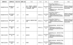 阜新高专收入（阜新高等专科学校2020年公开招聘工作人员岗位信息表）