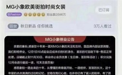 mg小象的收入（mg小象老板个人资料）