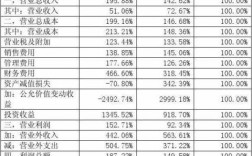 收入指利润（收入指利润吗）