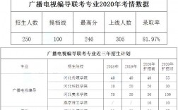 全国编导收入（编导年收入）