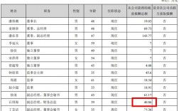 增加收入总监（公司总监收入）