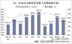 重庆软件公司收入（重庆软件公司收入怎么样）