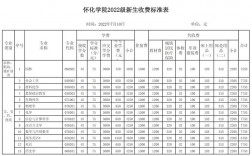 怀化学院收入待遇（怀化学院工资待遇）