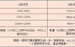 俄语同传收入（俄语同声传译收费标准）