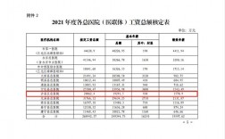 医院院长的收入（医院院长的收入待遇）