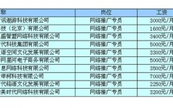 网络推广工资收入（网络推广员工资多少钱）