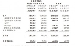 大麦网收入（大麦网业绩）