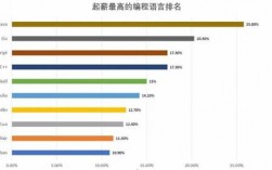 程序语言收入（程序语言是）