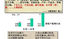 唐朝平均收入（唐朝百姓一年收入）