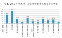 东莞2015财政收入（东莞市历年财政支出）