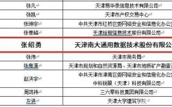 天津南大通用收入（天津南大通用数据技术 最新消息）