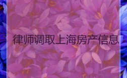 上海调律师月收入（上海调律师月收入多少钱）