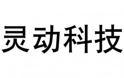 大连灵动科技收入（灵动科技公司怎样）