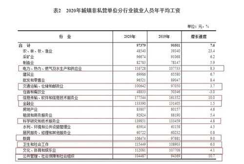 行业工资收入报告（收入报告怎么写）-图3